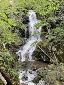 Waterfall Doyles River Loop via Appalachian Trail